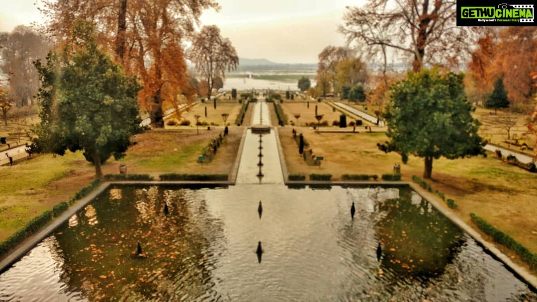 Avinash Tiwary Instagram - Naya likhne ke liye, Puraana padh leta hoon; Teri Ziyarat ke liye, Aankhein band kar leta hoon. #Kashmir #nishatbaug #LailaMajnu #pyaarmeinpaagal