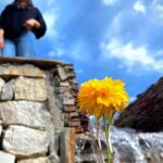 Bhanushree Mehra Instagram - Missing pretty views from @ladakhecoresort I have so many reels from my Ladakh trip, can’t wait to share them all…. Who’s excited? 😃 📸 shot by @philnabeel . . . . . . . . . . #ladakh #lehladakh #ladakhecoresort #mountains #ladakhbeauty #mesmerizingview