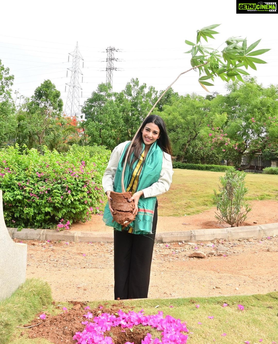 Daksha Nagarkar Instagram - Huge congratulations to Telangana govt and MP Santosh Kumar gaaru, Satish gaaru for successfully entering the 5th year of the #greenindiachallenge and thankyou for making me a part of it #plants . . . . #dakshanagarkar #environment #plantsofinstagram #trees #socialcare #socialchallenge #planetearth #protectplanet #earth #earthofficial #plantlover #happy #love #newpost #instagood #animallover #gardenactivist #viral #post #goodvibes #pictureoftheday #greenindia #cleanindia #indian