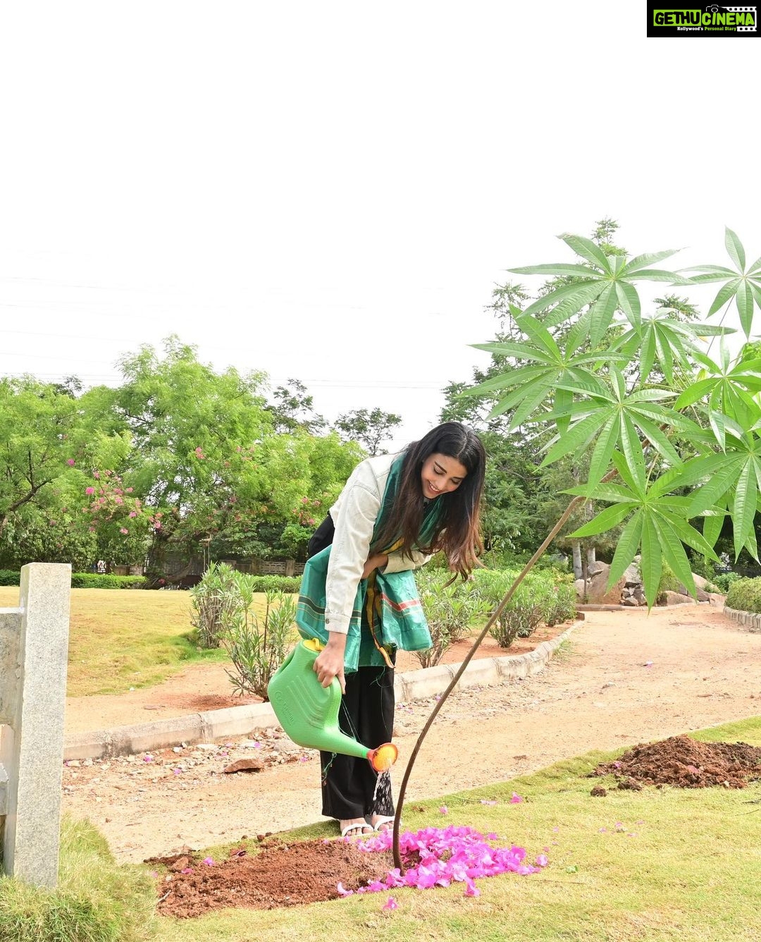 Daksha Nagarkar Instagram - Huge congratulations to Telangana govt and MP Santosh Kumar gaaru, Satish gaaru for successfully entering the 5th year of the #greenindiachallenge and thankyou for making me a part of it #plants . . . . #dakshanagarkar #environment #plantsofinstagram #trees #socialcare #socialchallenge #planetearth #protectplanet #earth #earthofficial #plantlover #happy #love #newpost #instagood #animallover #gardenactivist #viral #post #goodvibes #pictureoftheday #greenindia #cleanindia #indian