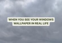 Dushara Vijayan Instagram - True celebrity moment 🪨 With the Rene herself @dushara_vijayan Cinematography by @georgesimon_m Cameron Friendship by @carthi_official . . . . . #reelsindia #reels #dankmemes #desimemes #windowsxp #nostalgia #nostalgicmemes Windows Xp