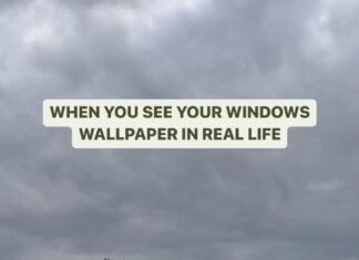 Dushara Vijayan Instagram - True celebrity moment 🪨 With the Rene herself @dushara_vijayan Cinematography by @georgesimon_m Cameron Friendship by @carthi_official . . . . . #reelsindia #reels #dankmemes #desimemes #windowsxp #nostalgia #nostalgicmemes Windows Xp