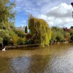 Dushara Vijayan Instagram - Cotswolds🍁