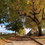 Dushara Vijayan Instagram - Cotswolds🍁