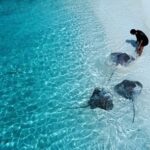 Elena Roxana Maria Fernandes Instagram - Just casually acting like stingrays are my pets and calling them so I can feed them 😂 . . 📸 @7zeppo Location: @kinanhotels #stingray #playful #blue #maldives #sea #adventure #summervibes #summer #swim #beach #travel #traveldiaries #shoot #maldivestravel #kinanhotels #pets #slay #bodypositivity #natural #joy #happy #play #ootd #outfitoftheday Maldives
