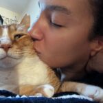 Elena Roxana Maria Fernandes Instagram - Life is better with a rescue street cat. . .or with 11 cats, like I have ❤️ . . . #cat #cats #catsofinstagram #better #life #fun #catsagram #petdiaries #happiness #happy #happytimes #furballs #grumpycat #funny #happy #pets #love #life #rescue #petrescue