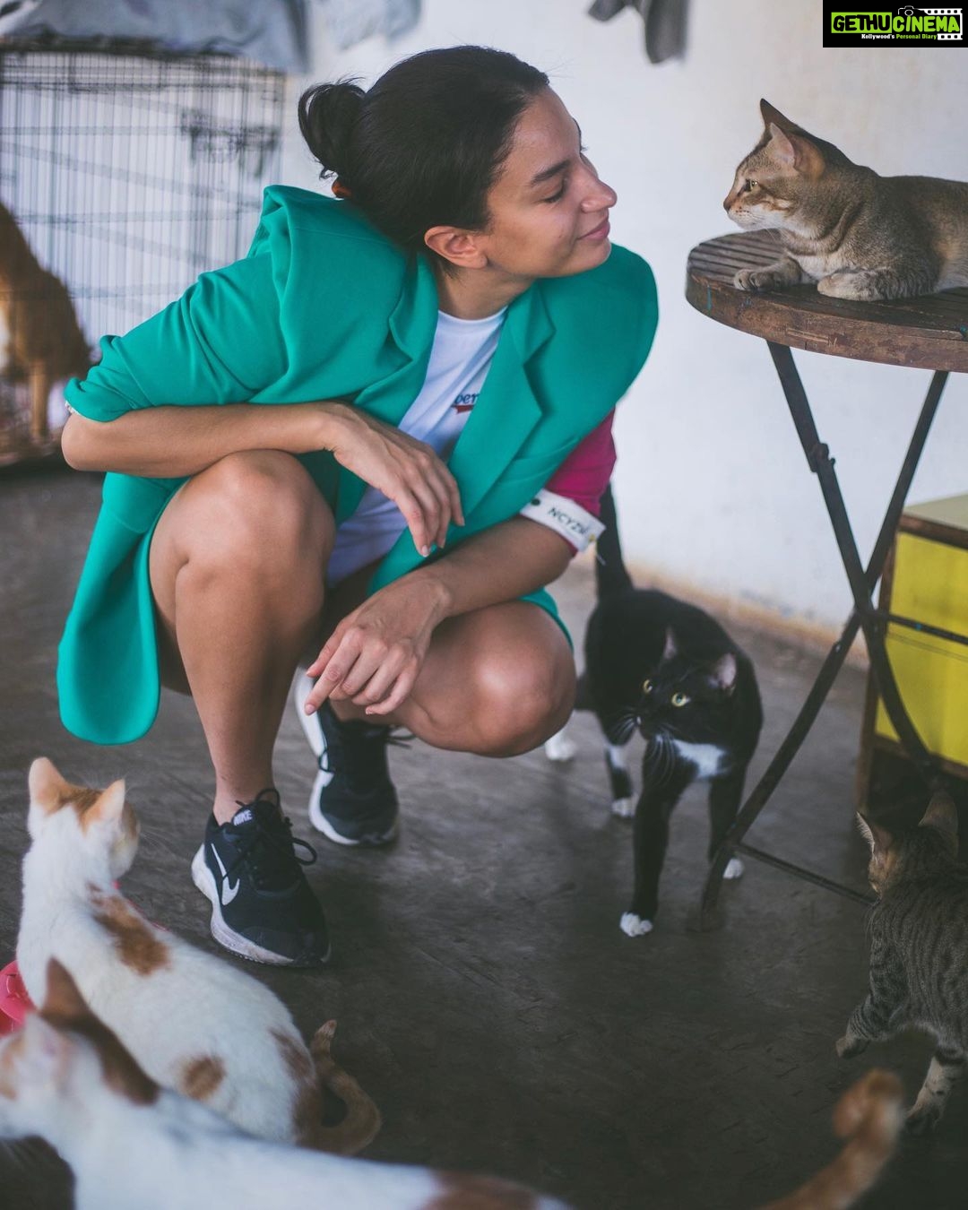 Elena Roxana Maria Fernandes Instagram - I have always strongly believed and acted on the belief that to make an improvement amongst any society you must first address the issues at the bottom. Right at the bottom are always the animals. Improve the relationship between man and animal and you will effectively improve the relationship between man and man. Samovila foundation @foundationsamovila do incredible work for disabled street animals. Every life deserves a chance. . . . Outfit: @ncyzip Photographer: @sagnik_ganguly_photography . . #samovilafoundation #ngo #animals #strays #society #improvement #relationship #care #love #man #street #streetanimals Samovila Foundation