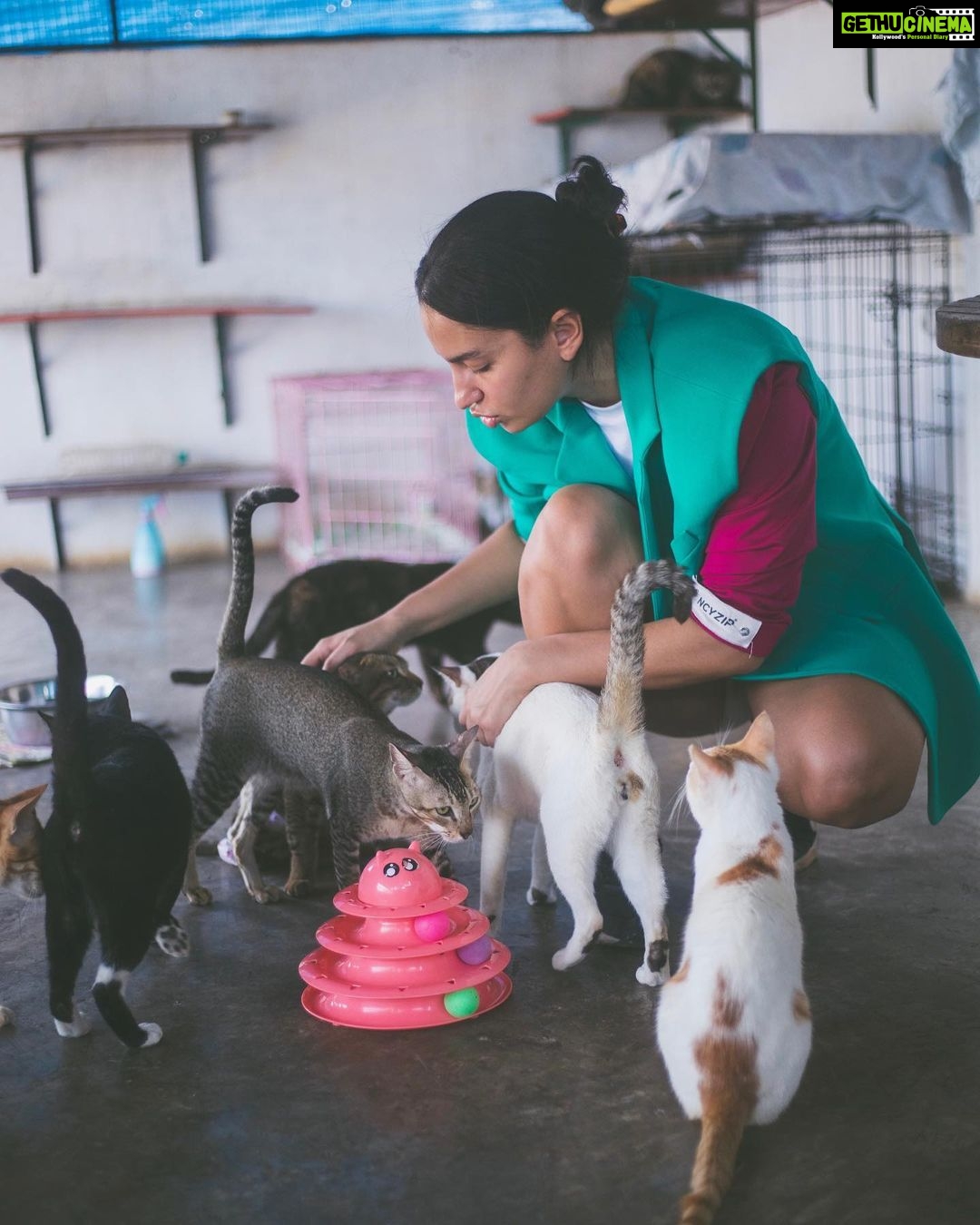 Elena Roxana Maria Fernandes Instagram - I have always strongly believed and acted on the belief that to make an improvement amongst any society you must first address the issues at the bottom. Right at the bottom are always the animals. Improve the relationship between man and animal and you will effectively improve the relationship between man and man. Samovila foundation @foundationsamovila do incredible work for disabled street animals. Every life deserves a chance. . . . Outfit: @ncyzip Photographer: @sagnik_ganguly_photography . . #samovilafoundation #ngo #animals #strays #society #improvement #relationship #care #love #man #street #streetanimals Samovila Foundation