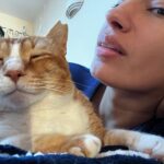 Elena Roxana Maria Fernandes Instagram - Life is better with a rescue street cat. . .or with 11 cats, like I have ❤️ . . . #cat #cats #catsofinstagram #better #life #fun #catsagram #petdiaries #happiness #happy #happytimes #furballs #grumpycat #funny #happy #pets #love #life #rescue #petrescue