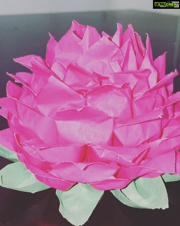 Fathima Babu Instagram - ORIGAMI Lotus 70 pink paper petals and 10 green paper petals