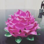 Fathima Babu Instagram - ORIGAMI Lotus 70 pink paper petals and 10 green paper petals