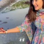 Gauahar Khan Instagram - Vlog is up on my YouTube channel ! Had the best time in #abudhabi ! By far the best aquarium. Go watch it now ! @gauaharkhan on YouTube ! #visitabudhabi🇦🇪 @visitabudhabi