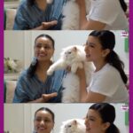 Gauahar Khan Instagram - I finally got to meet SNOW! ⭐️ #PawsandPlay Episode 2 Out Now on @RajeevMasand’s YouTube channel!! LINK IN BIO @gauaharkhan @Whiskasindia . #Ad #Reels #Reel #Whiskas #WhiskasIndia #feedtheircuriosity #AnimalLovers #AnimalsOfInstagram #Celebrities #Pets #PetParent #PetLovers #PawsAndPlay #GauharKhan #RajeevMasand #JaniceSequeira #CatLover #FurryFriends #TastyMix