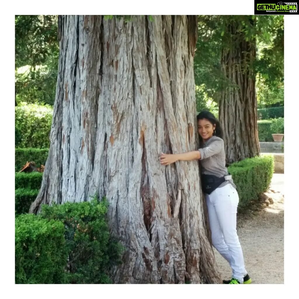 Gayathrie Instagram - Tree-hugger then, tree-hugger now! 🌳💚