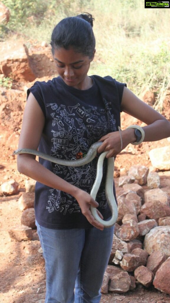 Gayathrie Instagram - I wish I could show you this photo and tell you I learnt how to catch a snake because of you! 💛 #steveirwin #crikey #steveirwinday