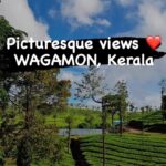 Ishaara Nair Instagram - WAGAMON and Kuttikanam are definitely must visit places if you want a relaxing trip. It feels like a heaven covered in lush green tea plantations, misty mountains, pine tree forests and breathtaking views. The winter months ( mid November to late February) are the best time to visit these places. #freshoxygen #naturebaby #mountaingirl #explorepage #beautifuldestinations #wagamon #kuttikkanam