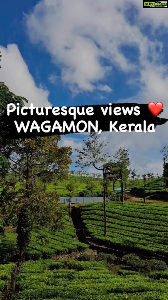 Ishaara Nair Instagram - WAGAMON and Kuttikanam are definitely must visit places if you want a relaxing trip. It feels like a heaven covered in lush green tea plantations, misty mountains, pine tree forests and breathtaking views. The winter months ( mid November to late February) are the best time to visit these places. #freshoxygen #naturebaby #mountaingirl #explorepage #beautifuldestinations #wagamon #kuttikkanam