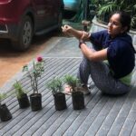 Ishika Singh Instagram – Happiness blooms from within when I buy these saplings .  You can’t buy happiness, but you can buy plants, and that’s pretty much the same thing #plantsofinstagram #plantlover #plantlife #plantlady #houseplants #plantsplantsplants #plantsmakemehappy #plantshop #plantshopping #plantmagic