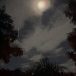 Ishika Singh Instagram - Full moon view from my balcony .. so beautiful .. so magnificent !!! The full Moon - the mandala of the sky. #fullmoon #fullmoonvibes #fullmoonmagic #fullmoonblessings #fullmooninleo #fullmoonnight #purnima #poornima #fullmoontonight