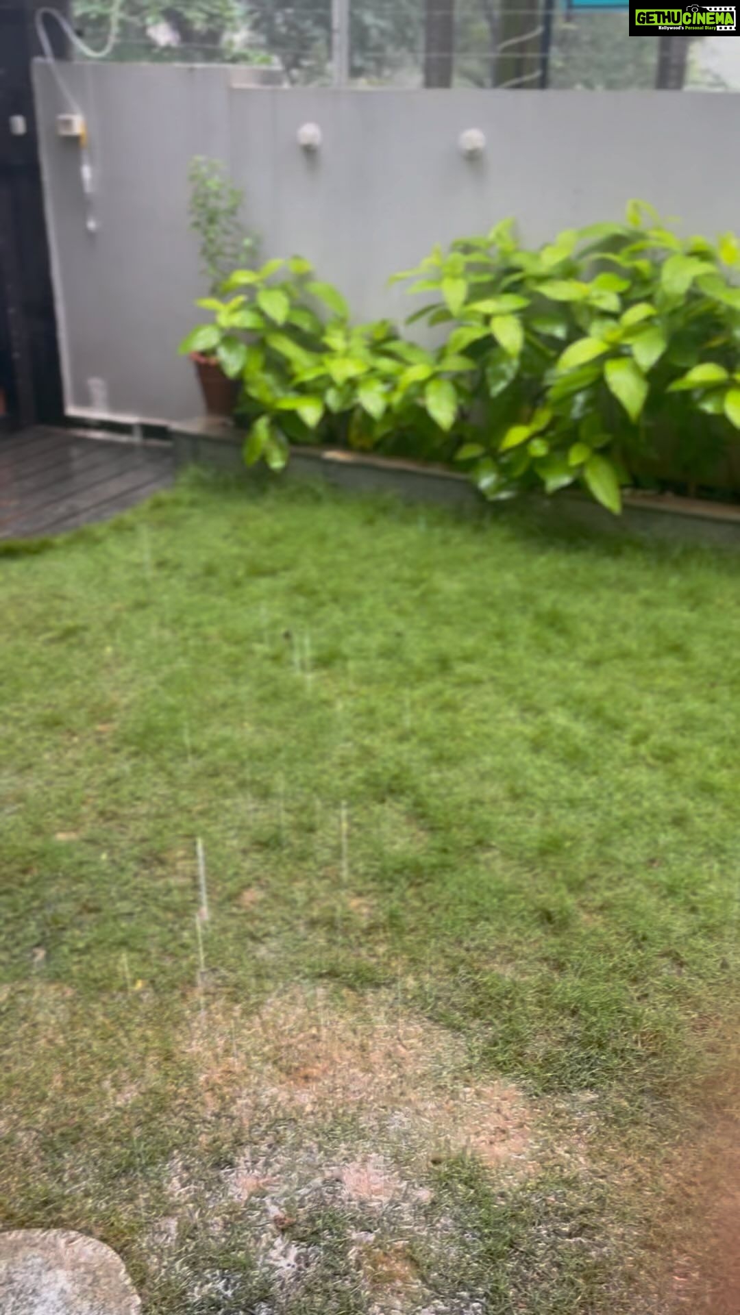Ishika Singh Instagram - Beautiful morning … good morning to all #raining #rainyday #raindrops #rainfall #rainlover #rainraingoaway #beauitfulday #goodmorning #lovelysong #lovelyplace #lovelyday #rimjim #rimhimgiraesawan