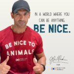 John Abraham Instagram – Animals deserve our love, respect and freedom!
I am happy to collaborate with @mfa_india on their 5th anniversary. 
I urge people to expand their boundaries of compassion to all living beings and advocate for animal welfare. The least one can do to help animals is to be NICE to them.