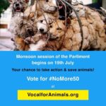 John Abraham Instagram – Cases of barbaric cruelty to animals have been on the rise. @narendramodi ji and #PRupala ji, please pass the amendment to thr PCA Act in this monsoon session of parliament. 

PCA Act was enacted in 1960 but has not been amended ever since. Animals have suffered for far too long because of weak laws.

Heinous crimes of brutal torture & killing animals must be made non-bailable and carry exemplary punishment 

#nomore50 

Vocalforanimals.org