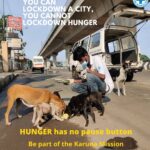John Abraham Instagram - The human movement restrictions have deprived the street animals of their primary food sources. @blue_cross_rescues have launched Karuna II, a street animal feeding program for the welfare of the voiceless. During their previous drive in 2020, 150 community feeders served over 100,000 meals. Join the mission. Check out their handle to know more. #animallovers #feedthestrays #covid19india #CovidIndia