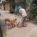 John Abraham Instagram - Some angels don’t have wings !! Feeding continues .... @amtmindia with @royalcanin.india We seek your blessings & support for the staff Donate via www.amtmindia.org/donate/ Or Gpay : 9819380310