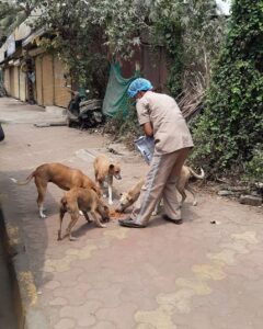 John Abraham Instagram - Some angels don’t have wings !! Feeding continues .... @amtmindia with @royalcanin.india

We seek your blessings & support for the staff

Donate via 
www.amtmindia.org/donate/
Or 
Gpay : 9819380310