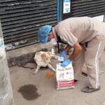 John Abraham Instagram – Some angels don’t have wings !! Feeding continues …. @amtmindia with @royalcanin.india

We seek your blessings & support for the staff

Donate via 
www.amtmindia.org/donate/
Or 
Gpay : 9819380310