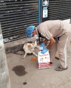 John Abraham Instagram - Some angels don’t have wings !! Feeding continues .... @amtmindia with @royalcanin.india

We seek your blessings & support for the staff

Donate via 
www.amtmindia.org/donate/
Or 
Gpay : 9819380310
