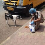 John Abraham Instagram - Some angels don’t have wings !! Feeding continues .... @amtmindia with @royalcanin.india We seek your blessings & support for the staff Donate via www.amtmindia.org/donate/ Or Gpay : 9819380310