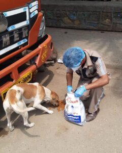 John Abraham Instagram - Some angels don’t have wings !! Feeding continues .... @amtmindia with @royalcanin.india

We seek your blessings & support for the staff

Donate via 
www.amtmindia.org/donate/
Or 
Gpay : 9819380310