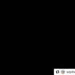 John Abraham Instagram - #Repost @sdpthefilm (@get_repost) ・・・ ट्रेलर येत आहे .. फक्त दोन दिवस बाकी! #SDPTheFilm #31stAugust @subodhbhave @truptimadhukartoradmal @raqeshbapat @s_w_a_p_n_a @thejohnabraham @johnabrahament @minnakshidas @sanyukthac @yogendramogre @panorama_studios @tseries.official @pvrpictures @paytm