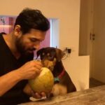 John Abraham Instagram - Health runs in the family! . . . . . @abraham_bailey #johnabraham #ja #jaentertainment #health #fitness #coconut #bailey #family #dogsofinstagram