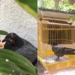 John Abraham Instagram - Badly hurt!!!! but now protected till he can fly again..Please welcome 'Tarzan', the new member of JA Entertainment :)