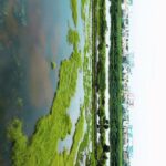 Joy Crizildaa Instagram - Drone shot 🎥💫 #contentcreator #influencer #chennaiblogger #bloggerstyle #fashionblogger #chennaiinfluencer #droneshots #dronevideo ECR