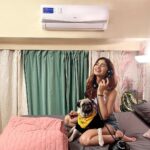 Karishma Sharma Instagram - Sharing my excitement with my #bff for my new @cruise_ac smart VarioQool air conditioner! - It’s got the looks, ultra quiet performance and triple air filtration with vitamin-C to keep me glowing all night 😇 Can’t wait to get my 8 hours of perfect #beautysleep all year round. Get yours at the #greatindianfestival @amazondotin and follow @cruise_ac to be notified. #CruiseAc #InverterAc #BeautySleep #Amazon #sale