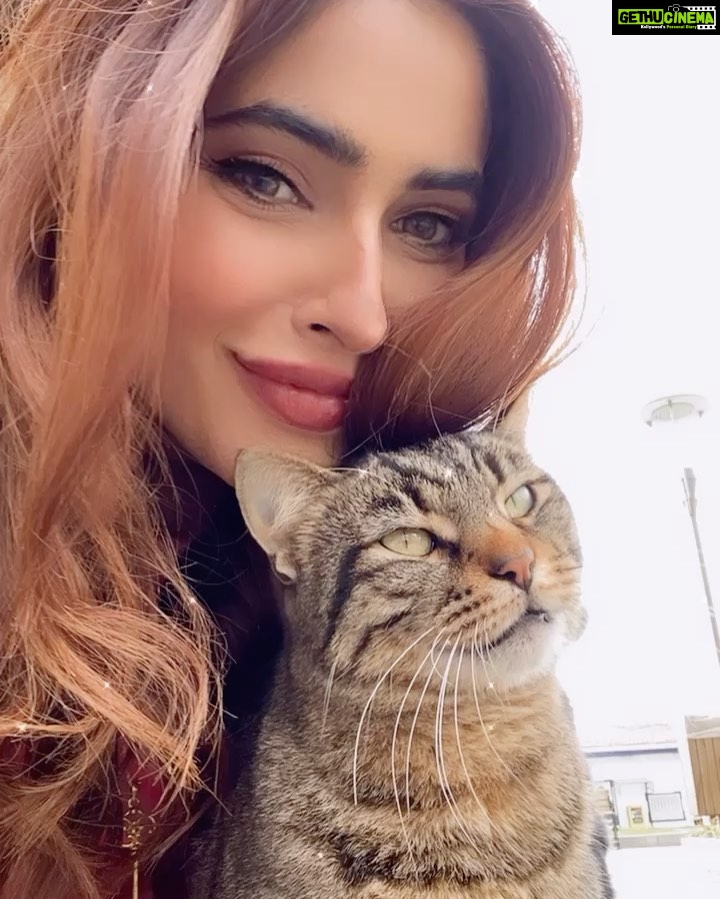 Karishma Sharma Instagram - Smiles, joy, animals,food is all I want 💕💚🤌🏼❄️