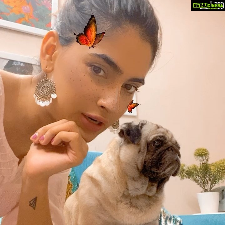 Karishma Sharma Instagram - I misss my baby so much, Charlie loves food. Whoever has ever met him know how much he loves his biscuits and his food. Charlie’s attitude in life is on point. Charlie behaves quite catty to say 🤪😂 I love my babyboo 💛