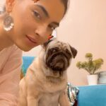 Karishma Sharma Instagram - I misss my baby so much, Charlie loves food. Whoever has ever met him know how much he loves his biscuits and his food. Charlie’s attitude in life is on point. Charlie behaves quite catty to say 🤪😂 I love my babyboo 💛