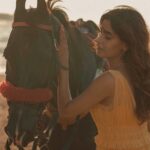 Karishma Sharma Instagram – When you’re 1000% less awkward when talking to animals 🐴🦄🐶🐼🐒🦓🦧🦧🐈🐿🕊🦩🦩
I love animals more than I love humans .
Shot by @biryanimasala