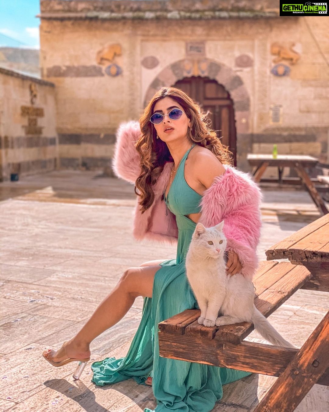 Karishma Sharma Instagram - I'm a smitten kitten. Meow🐈 . . @fitzupofficial @turkeytourismin @goturkey #goturkey #turkey #travelgoals Cappadocia / Kapadokya