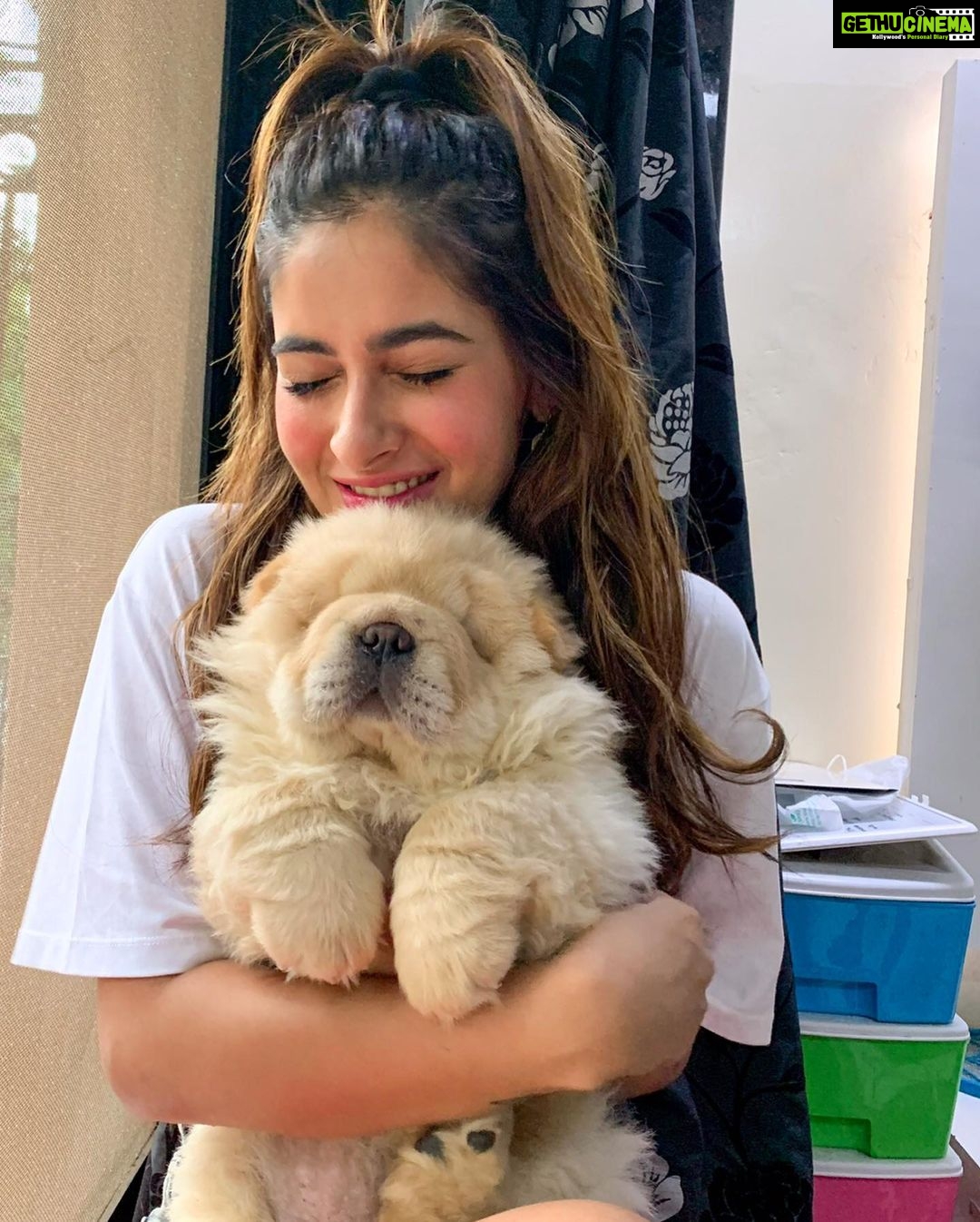 Karishma Sharma Instagram - The best therapist has furrr and four legs 🐶🐶🐶