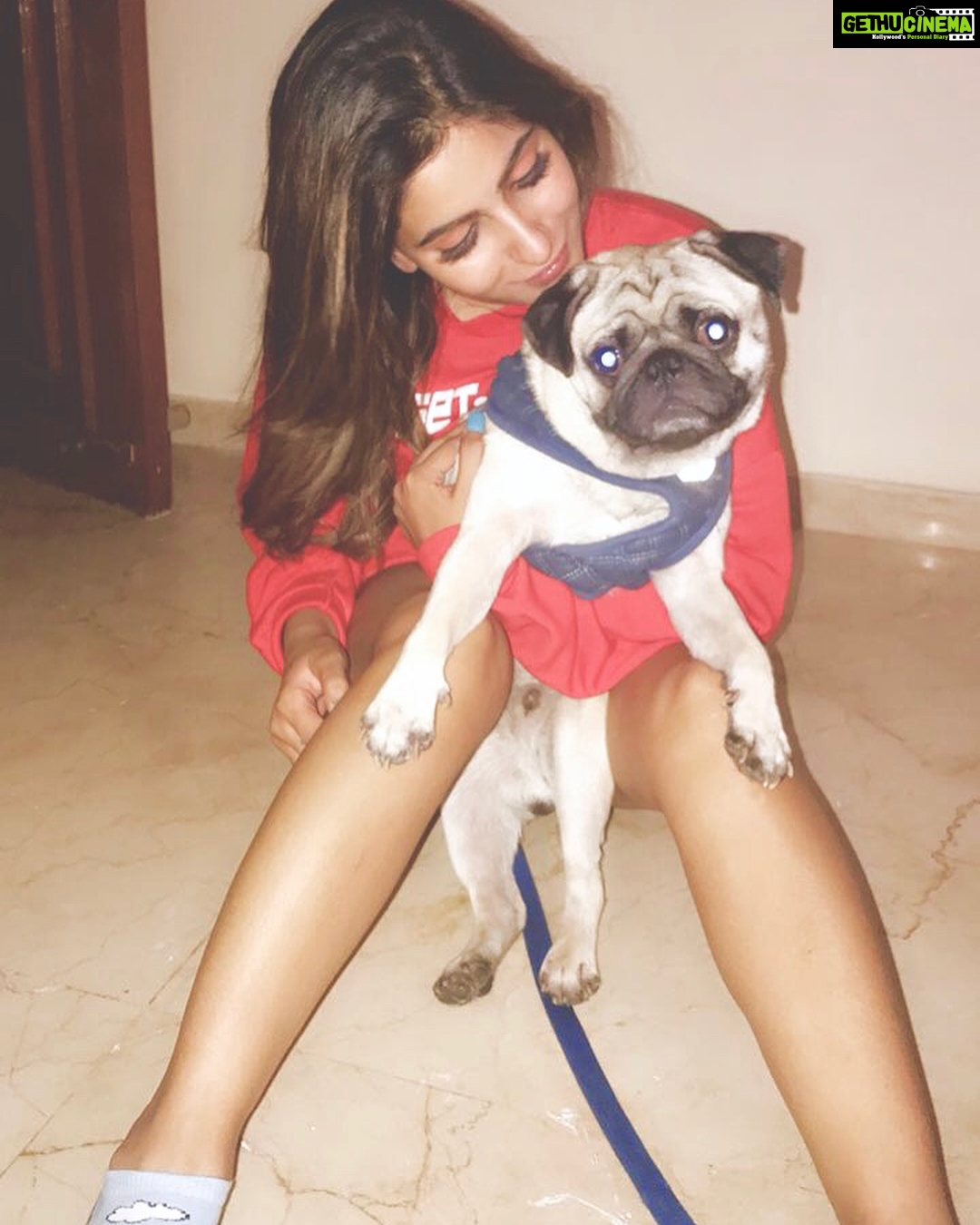 Karishma Sharma Instagram - Date a girl who looks at you how I look at Charlie. 😻 My cutie patuti. 🐒🐒🐒 My Home Exhibition