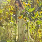 Karishma Sharma Instagram – Sending you your daily dose of sunshine with lots of sunflower 🌻 

Two of my friends and my favourite combo 😍