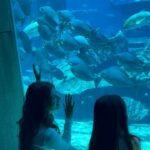 Karishma Sharma Instagram - Sometimes Love and conversations don’t have language. She spoke Chinese (I guess😋) and I spoke English 🥰🤓💖 @atlantisthepalm
