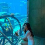 Karishma Sharma Instagram - Sun’s Out, Pool Day. Rides definitely make you feel wild, fun and adventurous. 🐟🐠 @atlantisthepalm Atlantis, The Palm