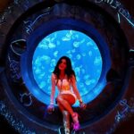 Karishma Sharma Instagram - I'm a mermaid on dry land and the world is my ocean 💜 Really felt Iike I found the Aquaman’s kingdom😍@atlantisthepalm @prideofgypsies #aworldaway #mythology #peaceful #selflove #serene