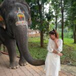 Karishma Sharma Instagram - I felt a deep connection with @srisriravishankar because of the Shiva consciousness and creation and manifestation he talks about, everytime im in distress and searching for an answer watching his interviews has always helped. Finally was fortunate to visit the aashram. The place is soulful and serene: it heals you in a way. The walk around the lake was tranquil and, it being the the animal friendly place it was, I made a new friend. Indrani and I feel we definitely enjoyed our small meet. Thank you @meranivishal for making this happen 🙏